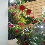 Glamorgan 앙티브